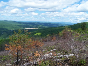 picture taken during a hike