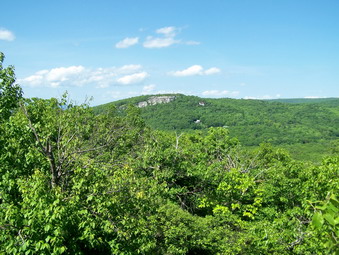 picture taken during a hike