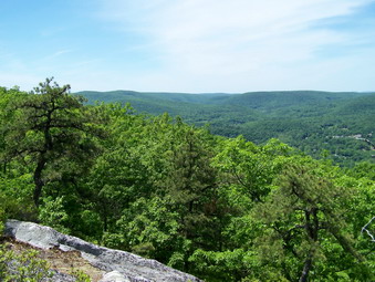 picture taken during a hike