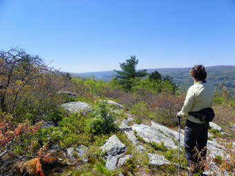 picture taken during a hike