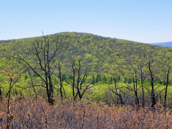 picture taken during a hike