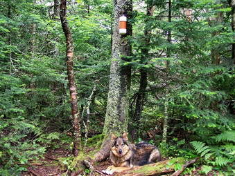 picture taken during a hike