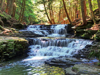 picture taken during a hike