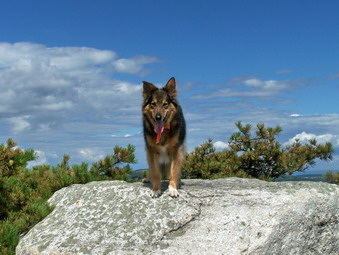 picture taken during a hike