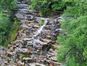 picture taken during a hike