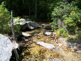 picture taken during a hike