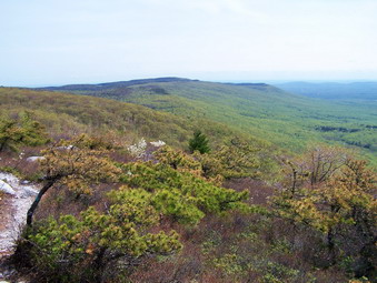 picture taken during a hike