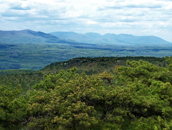 picture taken during a hike