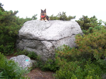 picture taken during a hike