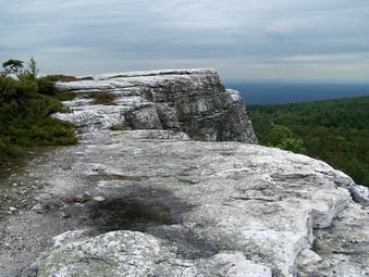 picture taken during a hike