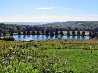 picture taken during a hike