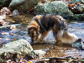 picture taken during a hike