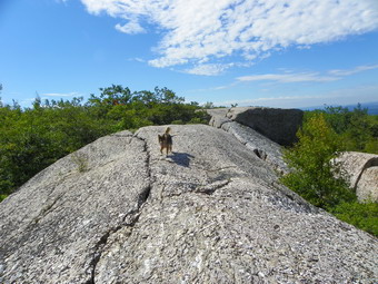 picture taken during a hike