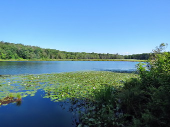 picture taken during a hike