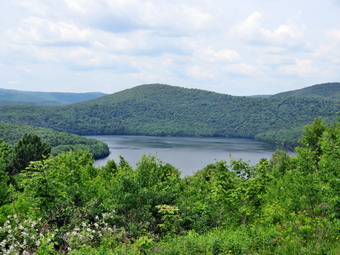 picture taken during a hike