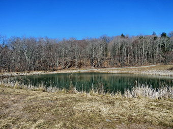 picture taken during a hike