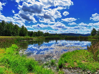 picture taken during a hike