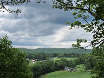 picture taken during a hike