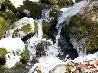 picture taken during a hike