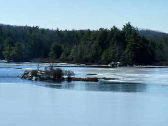 picture taken during a hike