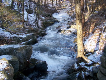 picture taken during a hike