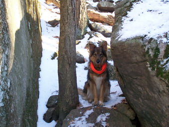 picture taken during a hike