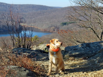 picture taken during a hike