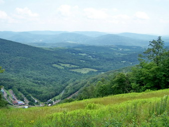 picture taken during a hike