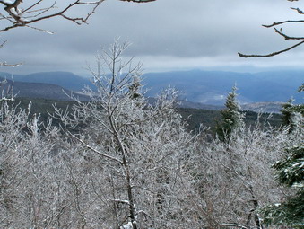 picture taken during a hike