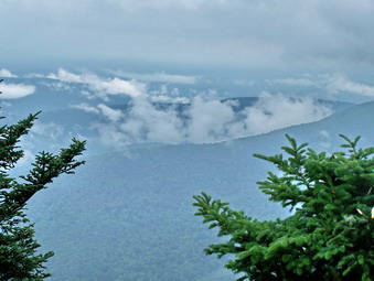 picture taken during a hike