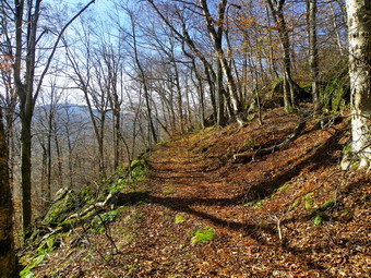 picture taken during a hike