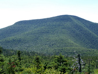 picture taken during a hike