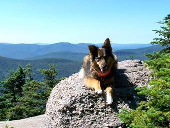 picture taken during a hike