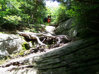 picture taken during a hike