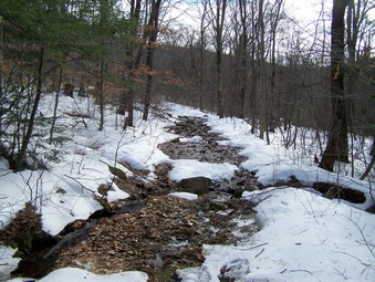 picture taken during a hike