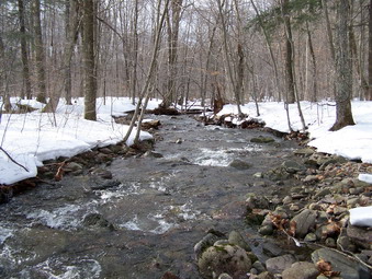 picture taken during a hike