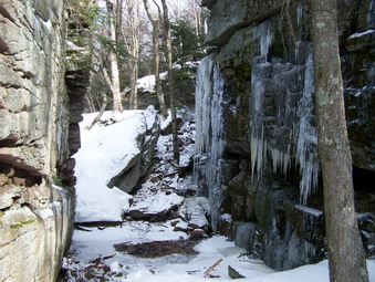 picture taken during a hike