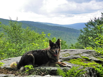 picture taken during a hike