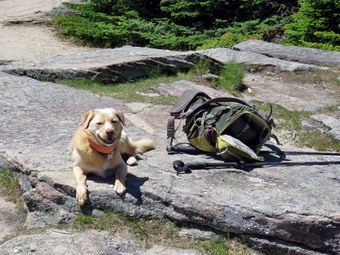 picture taken during a hike