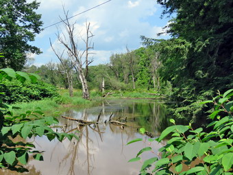 picture taken during a hike