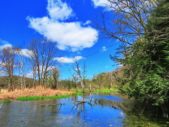 picture taken during a hike