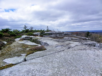 picture taken during a hike