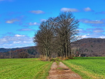 picture taken during a hike