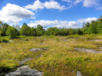 picture taken during a hike