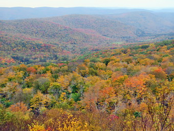 picture taken during a hike