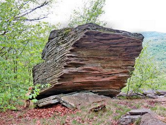 picture taken during a hike