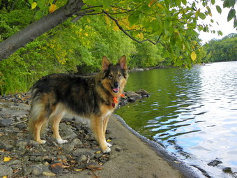 picture taken during a hike