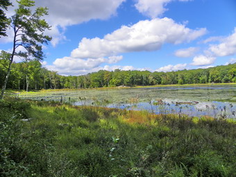 picture taken during a hike