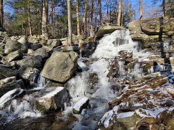 picture taken during a hike