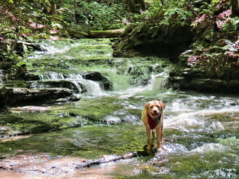 picture taken during a hike